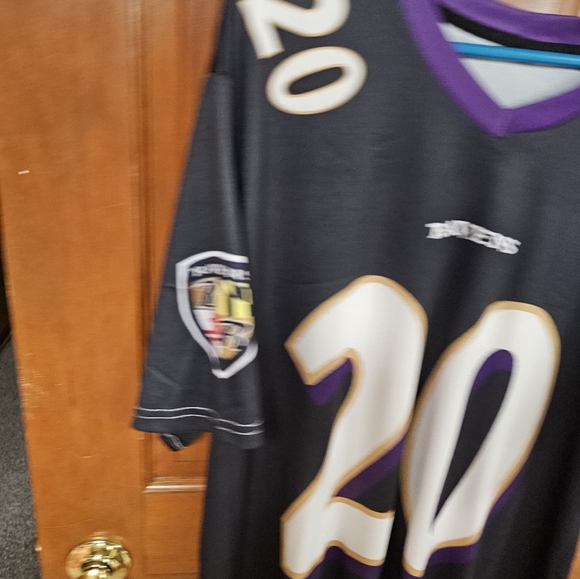 SIGNED ED REED JERSEY(READ DESCRIPTION FOR ALL DETAILS) - Picture 5 of 12
